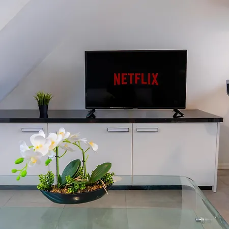 Apartment In The Center Of